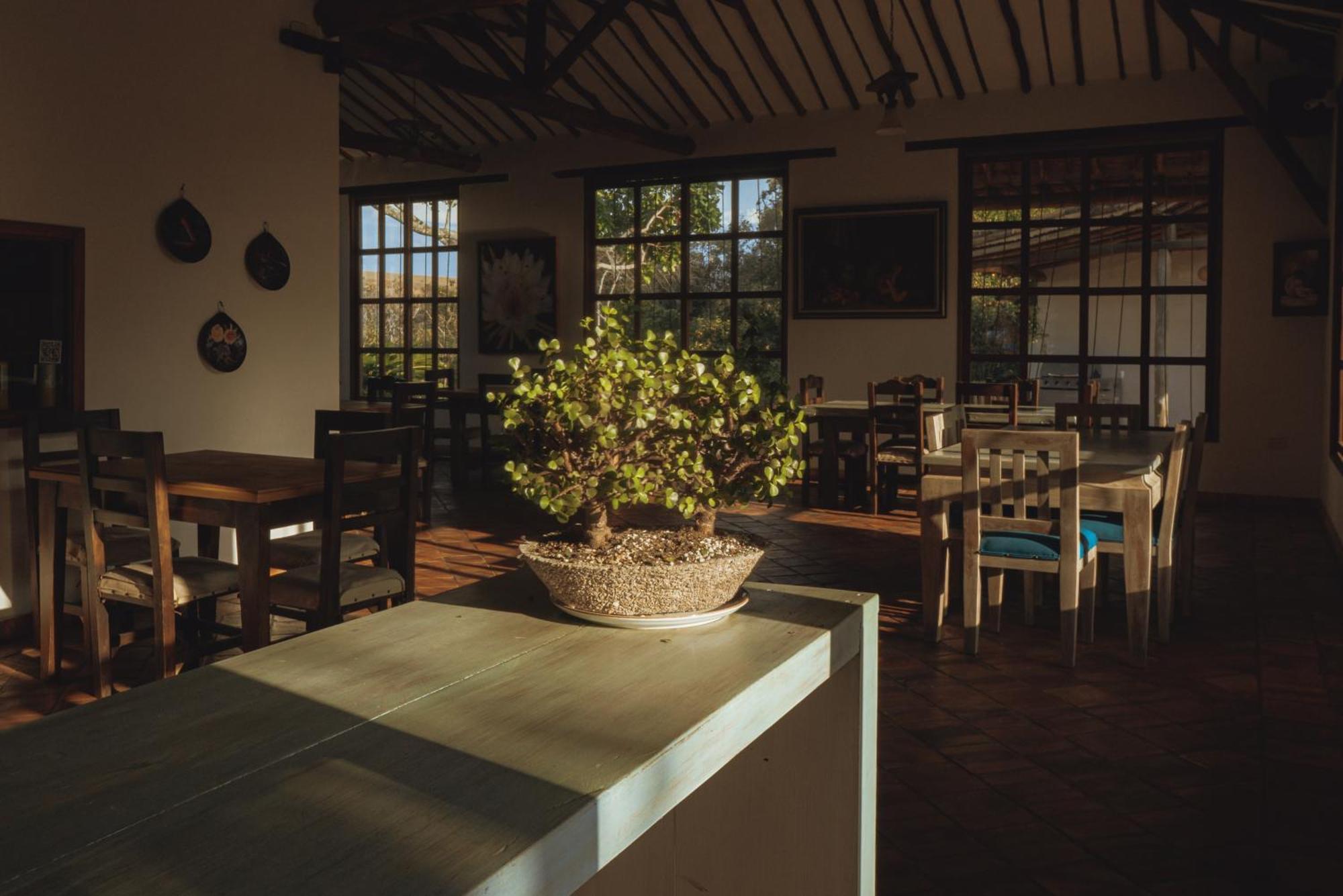Hotel Finca Buenos Aires 바리차라 외부 사진